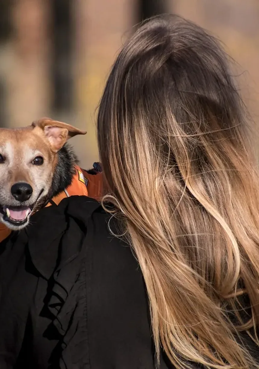 Vacina contra Raiva para Cães: Guia Completo e Obrigatório